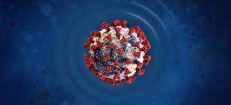 Spain sees highest number of COVID-19 deaths in one day Photograph