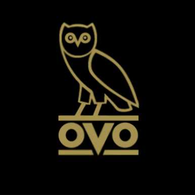Who's listened to Drake and OVO'S New Playlist On Spotify?  Photograph