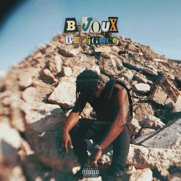 B Joux delivers creatively-driven visuals to new track 'Pedigree' Photograph